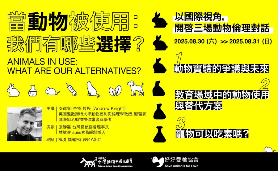 這是一張圖片