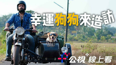 幸运狗狗来造访