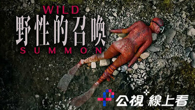 野性的召唤