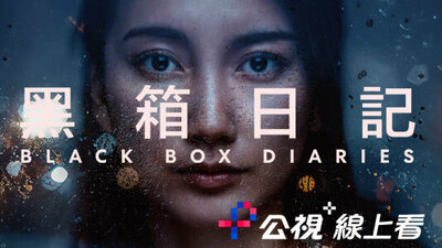 黑箱日记