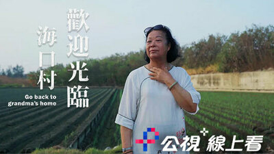 欢迎光临海口村