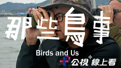 那些鸟事