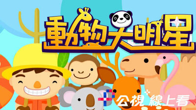 动物大明星
