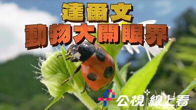 达尔文动物大开眼界