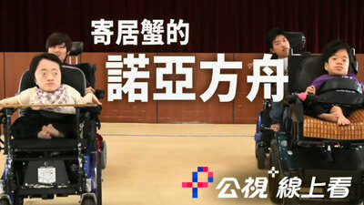 寄居蟹的诺亚方舟