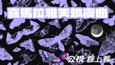 喜馬拉雅天蛾夜曲