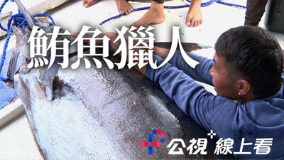 鮪魚獵人