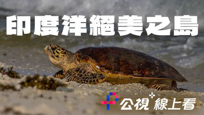 印度洋絕美之島